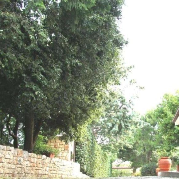Casa Marisa Villa Vacanza Castellana Grotte Exteriör bild