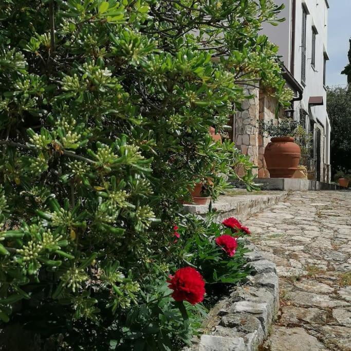 Casa Marisa Villa Vacanza Castellana Grotte Exteriör bild