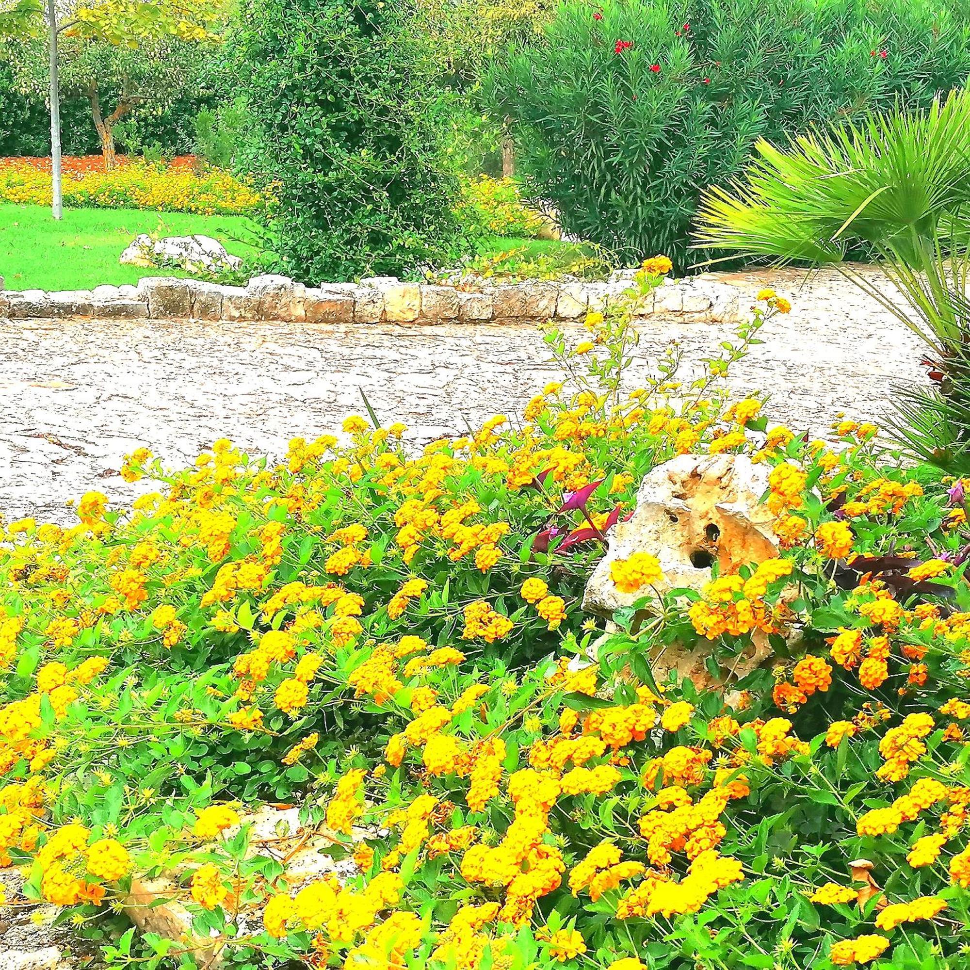 Casa Marisa Villa Vacanza Castellana Grotte Exteriör bild